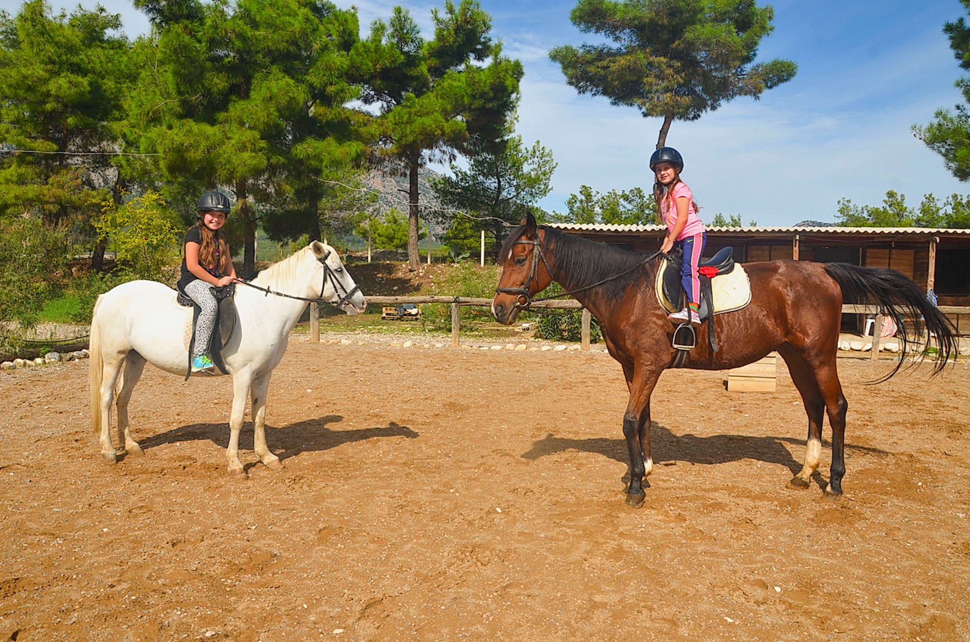 At Biniciliği